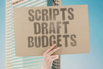 "Scripts Draft Budgets" Automated programs create financial plans. AUTOMATED. PROGRAMS. FINANCIAL. PLANS. CREATION.