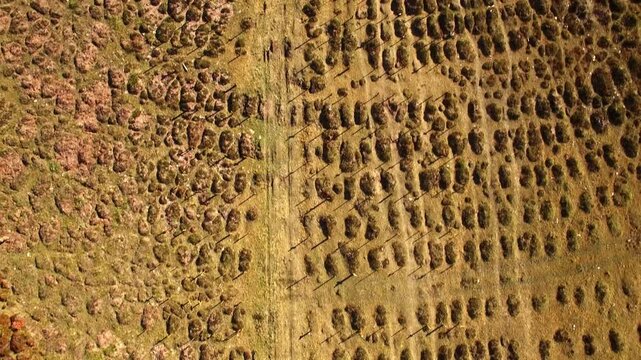 Sad hill cemetery aerial view famous western film location