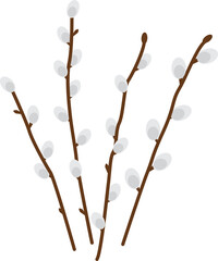 Spring willow twigs. Isolated vector. Vector illustration with transparent background.