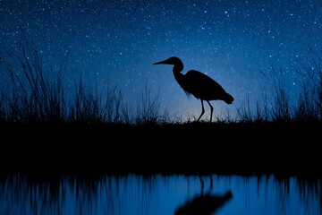 Majestic heron under starry night sky with serene water reflection