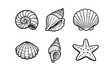 Collection of Black and White Seashell Illustrations on Gray Background