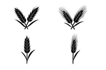 Obraz premium Black wheat ears on a dark background