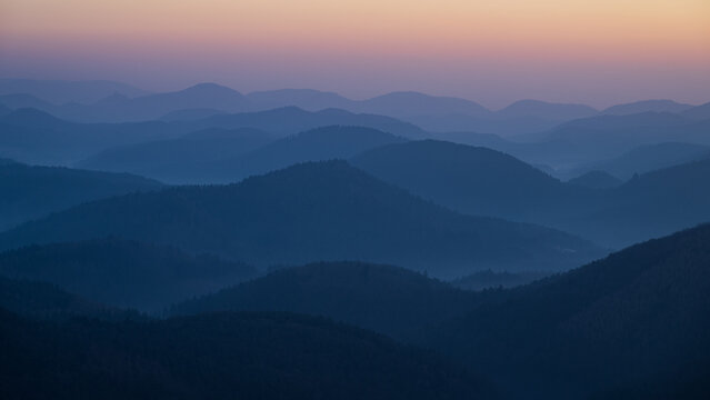 Neblige Sonnenaufgangsstimmung im Pf&auml;lzer Wald
