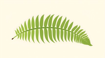 Elegant Green Fern Leaf Botanical Illustration on Light Background