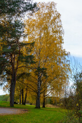 Autumn river landscape with colorful trees reflections