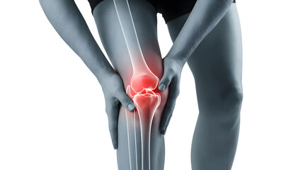 Woman suffering from knee pain with highlighted joint and bones.