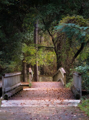 Small Bridge on a Pedestrial Walkway in Autumn