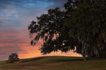 Evening Sky and Rolling Hills in Northern Florida