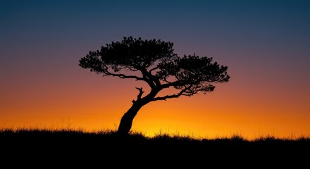 Dramatic, high-contrast silhouette of a jagged tree against a vibrant sunset sky, emphasizing contrast and stark isolation ,backlit ,vector ,outdoors