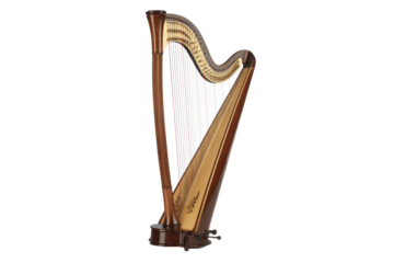 Elegant concert harp, studio shot