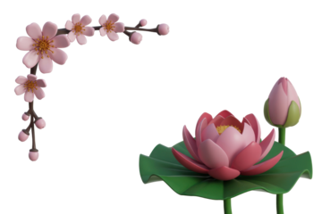 Pink cherry blossoms and lotus flower illustration