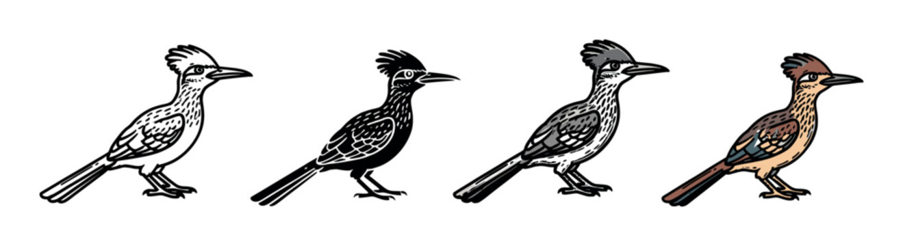 Four roadrunner bird illustrations in different styles including line art, silhouette, grayscale, and full color, depicted in a graphic hand-drawn comic style