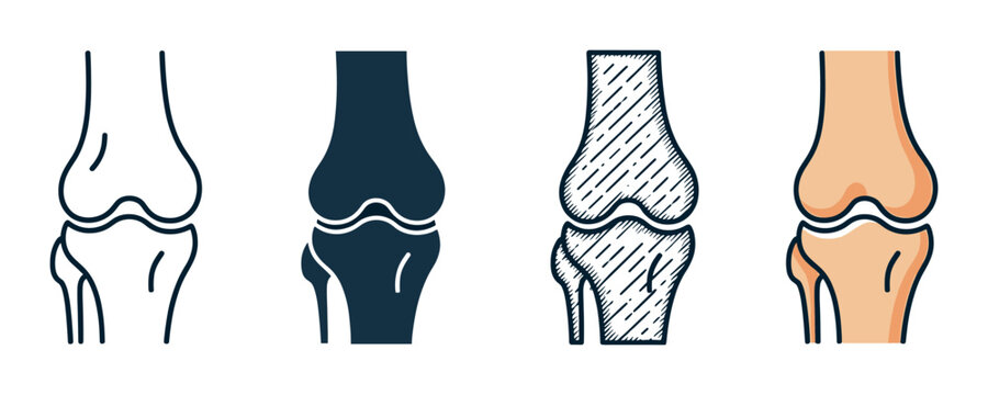 Knee joint icon set with four different styles including line art, solid glyph, hand-drawn sketch, and color fill for medical and anatomical design projects