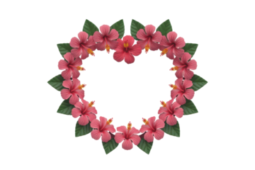Heart shaped wreath of hibiscus flowers