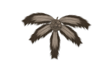 Ornate Feather Headdress Decoration