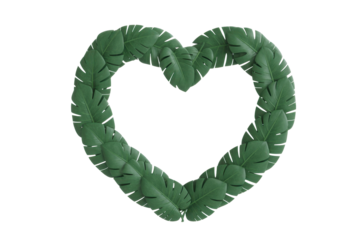 Heart shape made of green monstera leaves