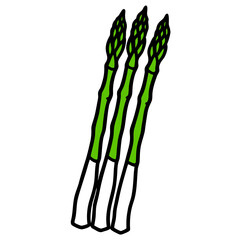 Fresh Asparagus Spears Vibrant Green Vegetables