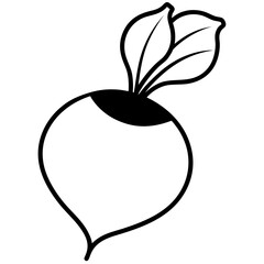 Fresh Beetroot with Leaves Whole Raw Vegetable