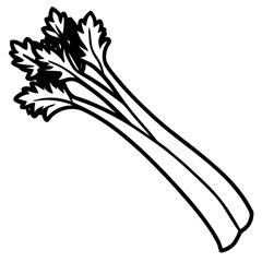 Fresh Celery Stalk Bundle Crisp Hydrating Vegetable