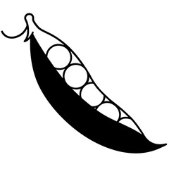 Fresh Green Peas in Pod Organic Legumes