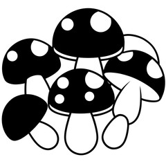 Fresh Mushrooms Assortment White Button Mushrooms