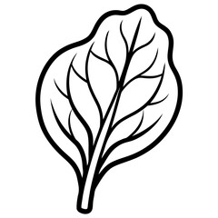 Fresh Spinach Leaves Bunch Leafy Green Vegetables