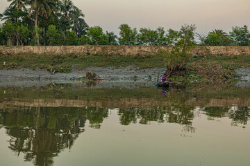 landscape of a river doratana in bagerhat bangladesh