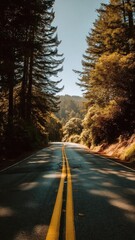Obraz premium Winding road through a sunlit forest, tall trees on both sides with a double yellow line down the center. Concept Scenic forest drive along a winding sunlit road
