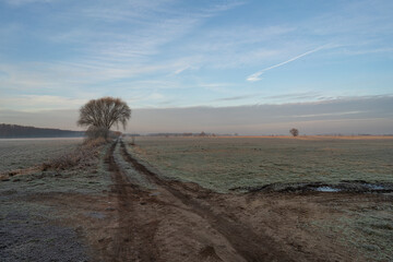Frosty countryside road with solitary tree at dawn. Winter countryside scene with a dirt road leading through frost-covered fields toward a solitary tree.