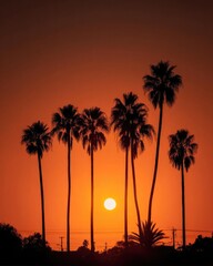 Obraz premium Silhouetted palm trees against a vivid orange sunset with the sun near the horizon. Concept Silhouetted Palm Trees, Vivid Orange Sunset, Sun Near Horizon, Golden Hour Silhouette, Tropical Landscape