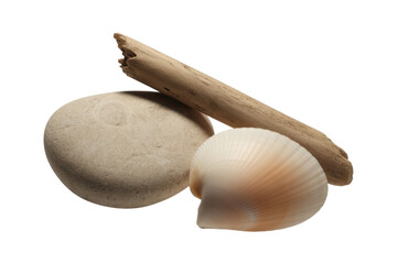 Zen Arrangement of Stone, Shell and Wood