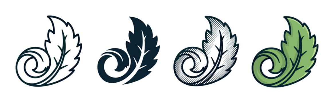 Four stylized acanthus leaf icons presented in a collection of artistic styles including line art, solid silhouette, hatching, and full color for elegant graphic design