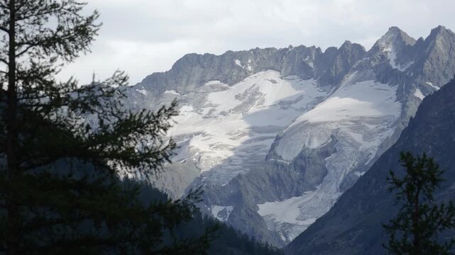 Picturesque mountain valley with forest and snow-capped mountains in the background