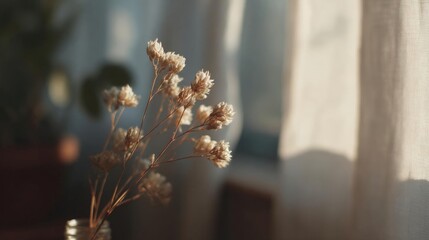Vase with a bunch of small white flowers in it. the vase is made of glass and is placed on a wooden table. the flowers are in full bloom and appear to be dried and wilted.
