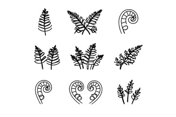 Collection of stylized fern illustrations on a dark background © Andrei