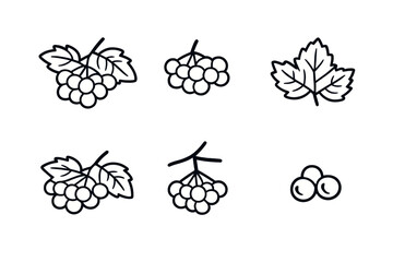 Set of vector berry and leaf icons © Andrei