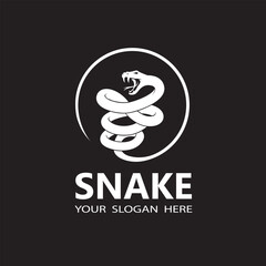 illustration of white snake isolated on black background