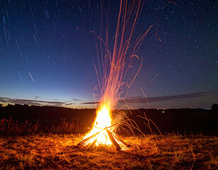 A mesmerizing bonfire illuminates the wilderness, sending brilliant sparks toward a starry night sky with elegant star trails. Perfect for adventure, warmth, and evocative storytelling.