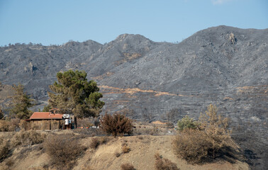 House standing against scorched mountain after wildfire disaster