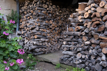 Pile of chopped firewood and logs for heating or burning.