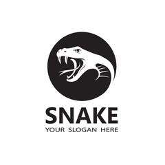 illustration of snake head isolated on white background