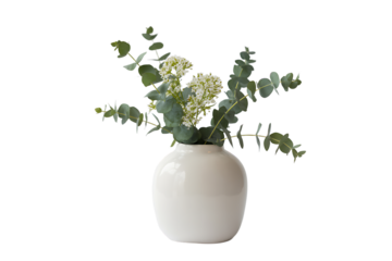 Elegant off white vase with eucalyptus sprigs isolated on transparent background
