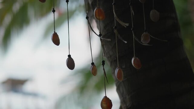 Hanging seashell decoration with blurred sky and palm tree background