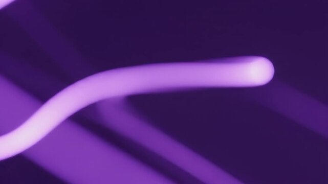 Abstract Purple Light Trails Flowing Seamlessly on Dark Background.