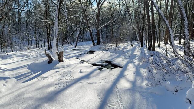 Empreintes d'animaux dans une zone bois&eacute;e enneig&eacute;e en hiver au Qu&eacute;bec, Canada. Traces de canard dans la neige.