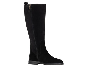 Tall Black Suede Boot Isolated Shoe