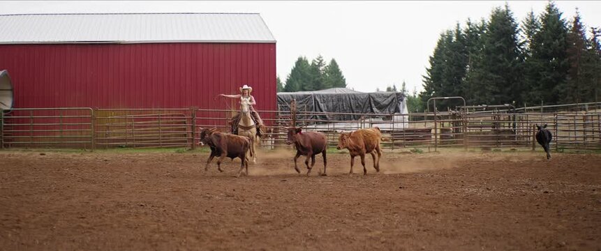 Cowgirl on horseback working cattle in dusty arena at sunset, slow motion