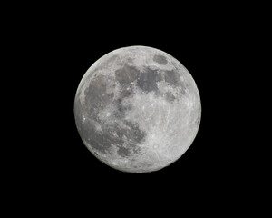 Large, round, gray moon is in the sky