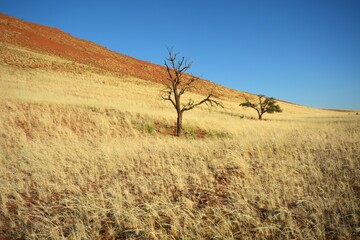 Sandw&uuml;ste im Namib-Naukluft-Nationalpark in Namibia