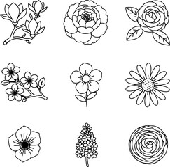 Minimal Spring and Summer Flower Vector Icons Black and White Line Art for Floral Design and Decoration